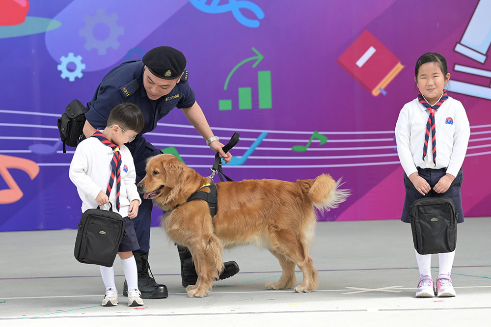 童軍尊重知識產權同樂日 2026-活動花絮5