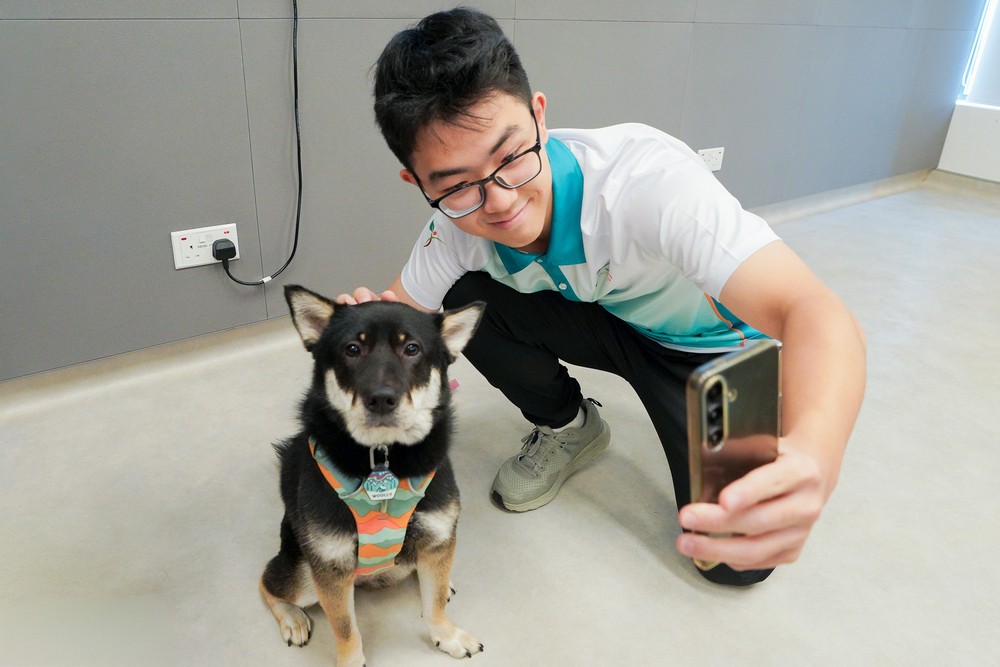 參觀愛護動物協會